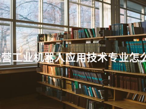 东营工业机器人应用技术专业怎么样