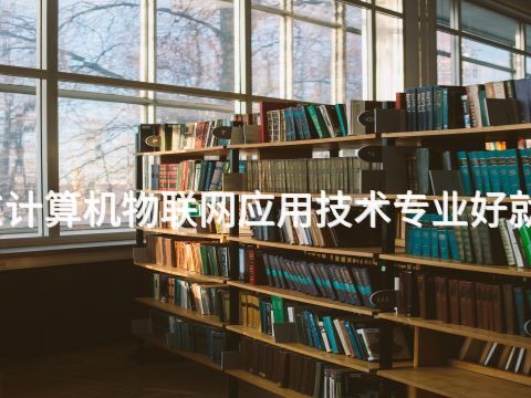 山东计算机物联网应用技术专业好就业吗
