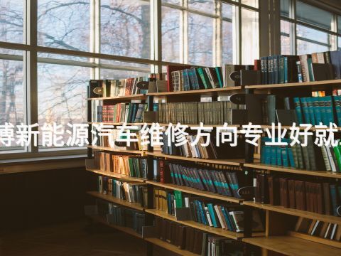 淄博新能源汽车维修方向专业好就业吗