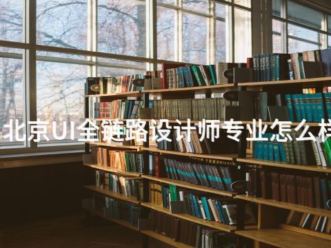 北京UI全链路设计师专业怎么样