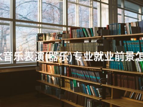 衡水音乐表演(器乐)专业就业前景怎么样