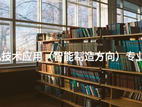 滨州机电技术应用（智能制造方向）专业好就业吗