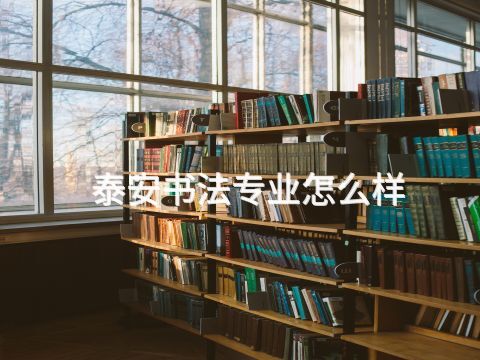 泰安书法专业怎么样