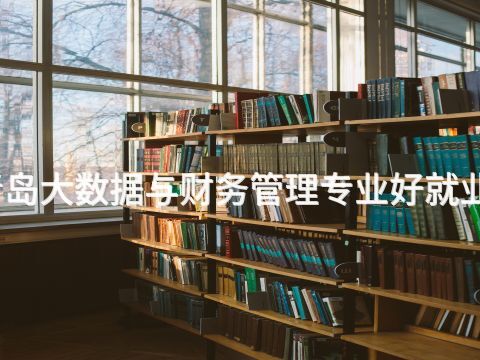青岛大数据与财务管理专业好就业吗