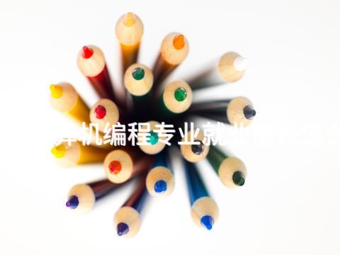 邢台计算机编程专业就业前景怎么样(图1) 邢台计算机编程专业就业前景怎么样(图1)