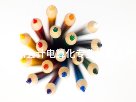 德州会计电算化专业好就业吗(图1) 德州会计电算化专业好就业吗(图1)