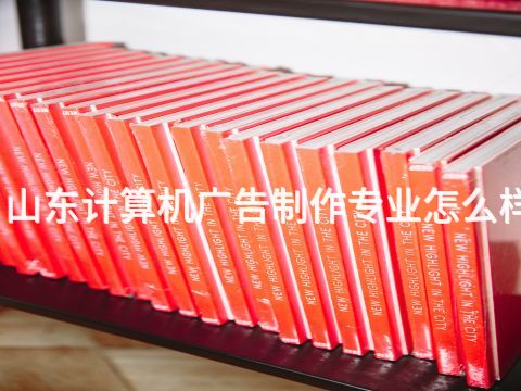 山东计算机广告制作专业怎么样