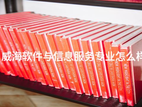 威海软件与信息服务专业怎么样(图1) 威海软件与信息服务专业怎么样(图1)