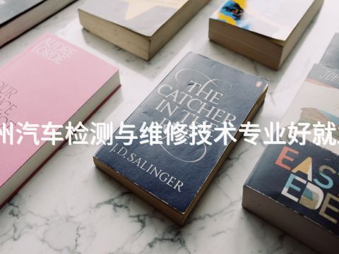 德州汽車檢測與維修技術專業(yè)好就業(yè)嗎(圖1) 德州汽車檢測與維修技術專業(yè)好就業(yè)嗎(圖1)