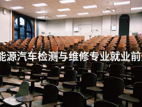 山东新能源汽车检测与维修专业就业前景怎么样