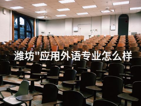 濰坊"應用外語專業怎么樣
