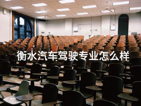 衡水汽车驾驶专业怎么样(图1) 衡水汽车驾驶专业怎么样(图1)