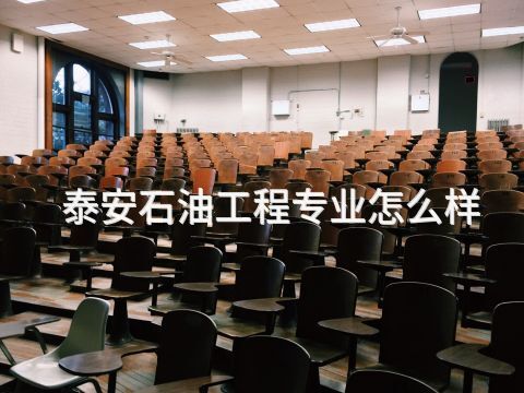 泰安石油工程专业怎么样