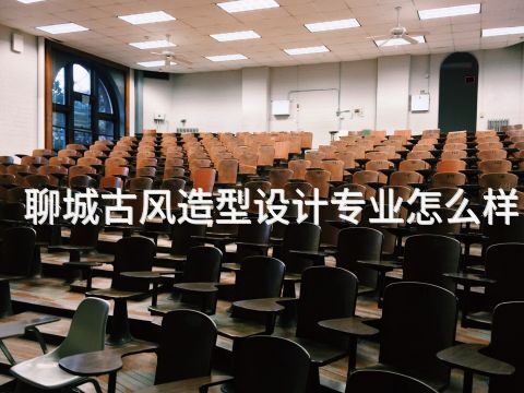 聊城古风造型设计专业怎么样