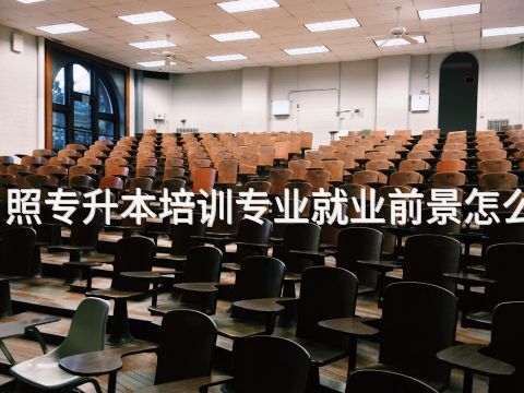 日照专升本培训专业就业前景怎么样(图1)