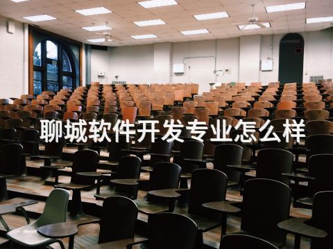 聊城软件开发专业怎么样