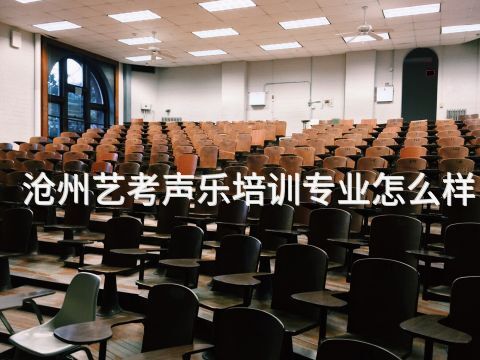 沧州艺考声乐培训专业怎么样