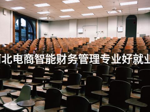河北电商智能财务管理专业好就业吗
