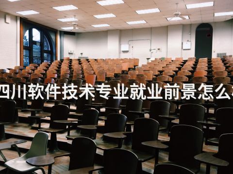 四川软件技术专业就业前景怎么样(图1) 四川软件技术专业就业前景怎么样(图1)