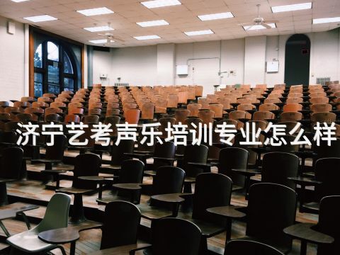 濟(jì)寧藝考聲樂培訓(xùn)專業(yè)怎么樣