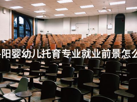 洛阳婴幼儿托育专业就业前景怎么样(图1) 洛阳婴幼儿托育专业就业前景怎么样(图1)