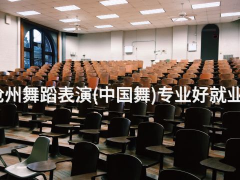 沧州舞蹈表演(中国舞)专业好就业吗