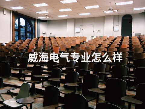 威海电气专业怎么样