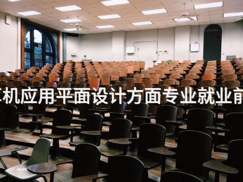 河北计算机应用平面设计方面专业就业前景怎么样