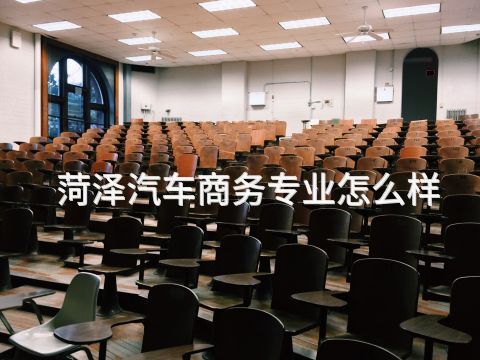 菏泽汽车商务专业怎么样