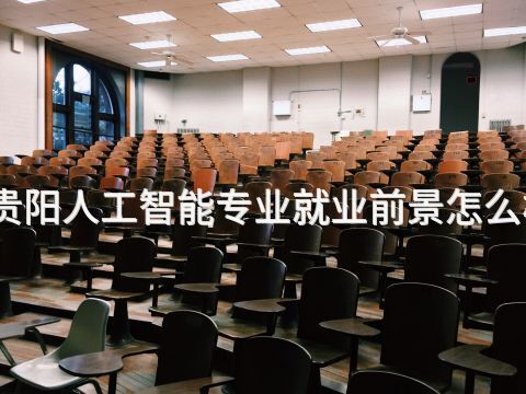 贵阳人工智能专业就业前景怎么样