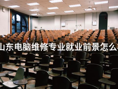 山东电脑维修专业就业前景怎么样(图1) 山东电脑维修专业就业前景怎么样(图1)
