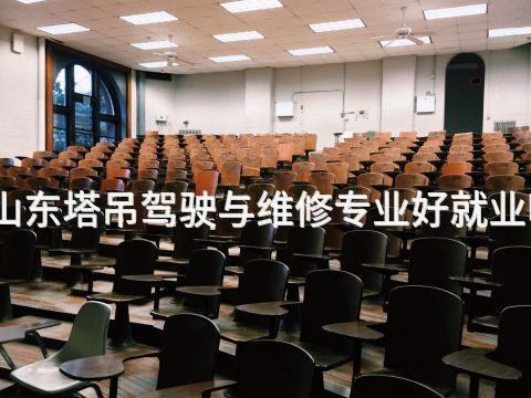 山东塔吊驾驶与维修专业好就业吗