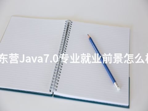 东营Java7.0专业就业前景怎么样