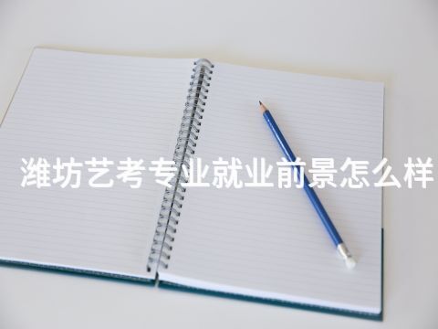 潍坊艺考专业就业前景怎么样
