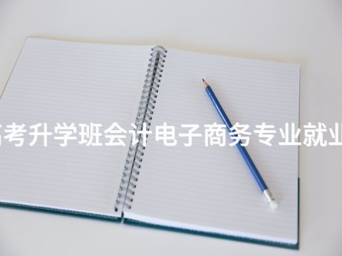 廊坊春季高考升学班会计电子商务专业就业前景怎么样