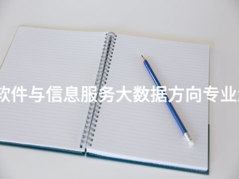 绵阳软件与信息服务大数据方向专业怎么样(图1) 绵阳软件与信息服务大数据方向专业怎么样(图1)