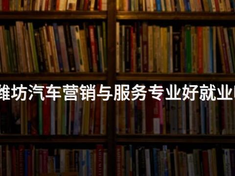 潍坊汽车营销与服务专业好就业吗