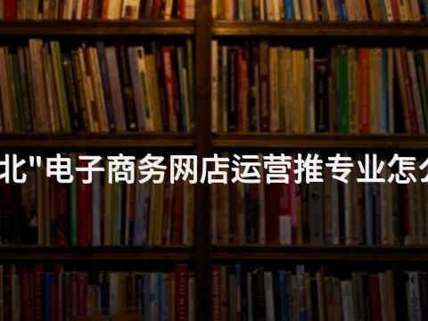 河北"電子商務網店運營推專業怎么樣