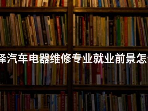 菏泽汽车电器维修专业就业前景怎么样