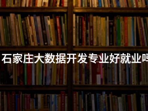 石家庄大数据开发专业好就业吗(图1)