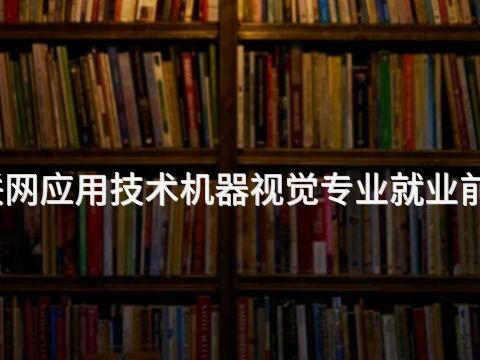 陕西物联网应用技术机器视觉专业就业前景怎么样