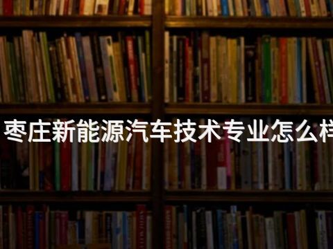 枣庄新能源汽车技术专业怎么样(图1) 枣庄新能源汽车技术专业怎么样(图1)