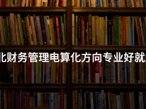 河北财务管理电算化方向专业好就业吗(图1) 河北财务管理电算化方向专业好就业吗(图1)