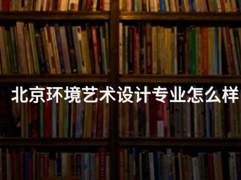 北京环境艺术设计专业怎么样(图1) 北京环境艺术设计专业怎么样(图1)