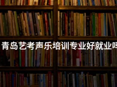 青島藝考聲樂培訓(xùn)專業(yè)好就業(yè)嗎
