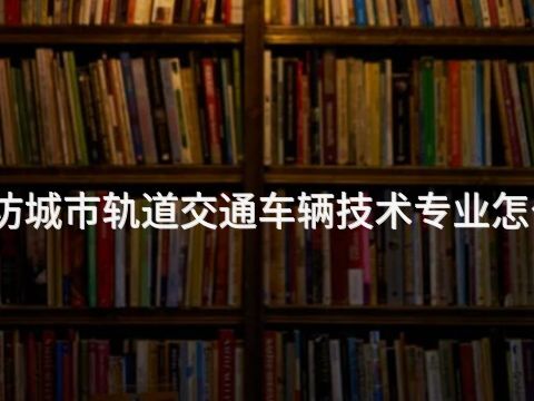 潍坊城市轨道交通车辆技术专业怎么样(图1) 潍坊城市轨道交通车辆技术专业怎么样(图1)