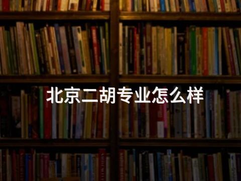 北京二胡专业怎么样(图1) 北京二胡专业怎么样(图1)