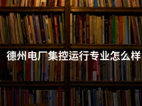 德州电厂集控运行专业怎么样