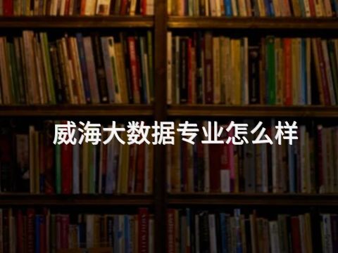威海大数据专业怎么样
