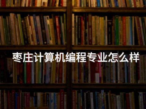 枣庄计算机编程专业怎么样(图1) 枣庄计算机编程专业怎么样(图1)